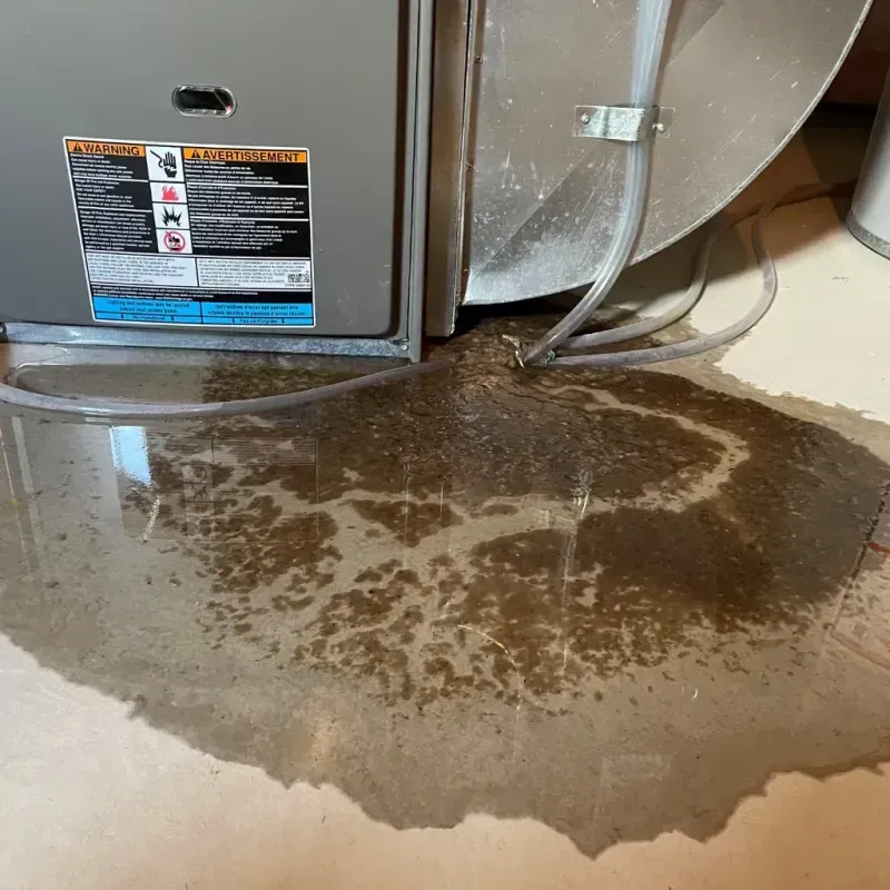 Appliance Leak Cleanup in North Las Vegas, NV